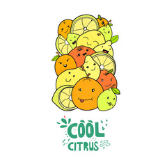 Citrus fruits characters vector doodle drawing