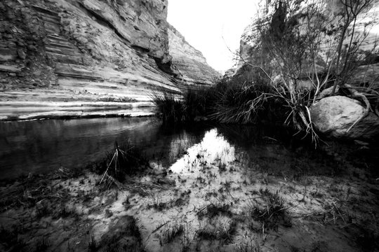 black and whithe landscape view of water in the desert mountains, E'in Ovdat nature reserve, Israel