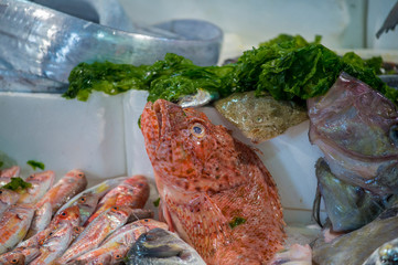 Alimenti pesce