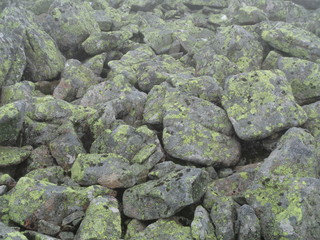 Tatrzanski Park Narodowy