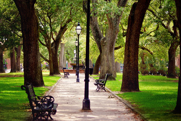 Naklejka premium A beautiful walkway through a park with tree lining the path with light posts in the center leading to a fountain in Charleston, South Carolina.