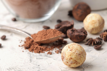 assorted chocolates. Candy balls of different types of chocolate on a light concrete background. cocoa, star anise and coffee beans