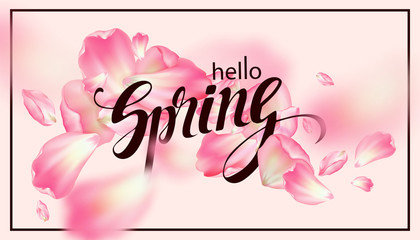 Hello Spring. Sakura's petals are spinning in the air. A spring background with cherry blossoms. Vector illustration. 