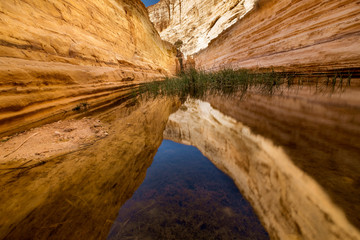 reflection over the river in the desert canyon, E'in Ovdat nature reserve, Israel