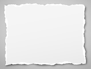 White ripped notebook paper, torn note paper stuck on grey squared background with soft shadow. Vector illustration