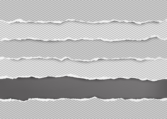Torn squared grey horizontal paper strips with space for text. Vector illustration background