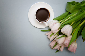 flowers tulips with white coffee Cup on blue background