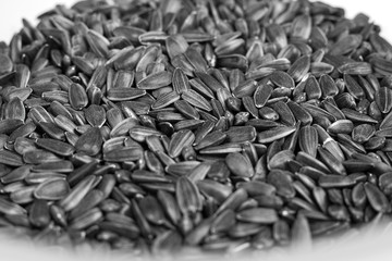 Black sunflower seeds. Top view. Sunflower seeds background, selective focus