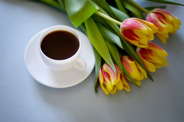 flowers tulips with white coffee Cup on blue background