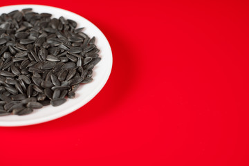 Black sunflower seeds on a red background. Top view. Copy space for yor inscription