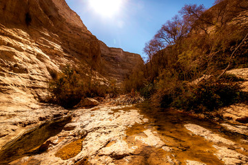 E'in Ovdat nature reserve, Israel