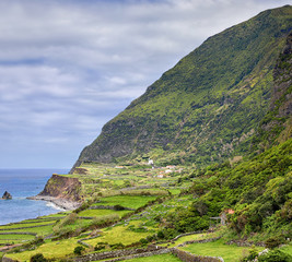 West Coast of Flores near Faja Grande (Azores islands)