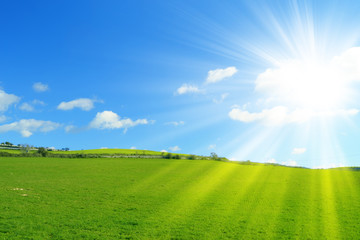 Obraz premium Green field under a blue sky with shining sun 