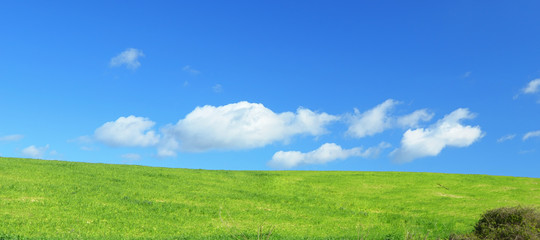 green field and blue sky