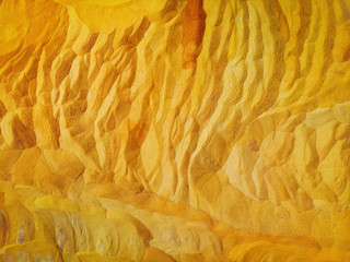 Yellow corn background  fresh corn texture