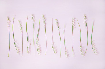 Spring floral layout. Flat-lay of lily of the valley flowers over pastel powder pink background, top view, wide composition. Floral background, texture or wallpaper