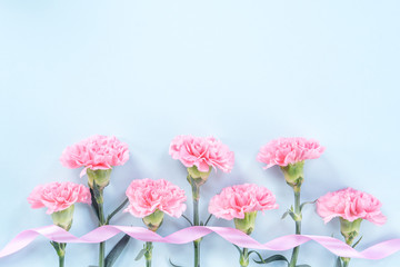 Obraz na płótnie Canvas Beautiful blooming pink carnations isolated on bright light blue background, copy space, flat lay, top view, mock up, may mothers day idea concept photography