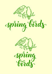 spring_birds