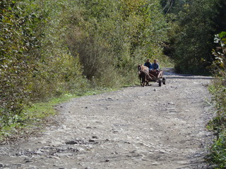 Karpaty na Ukrainie © M. G. Koperkiewicz