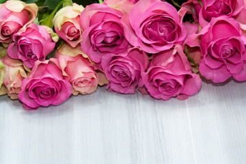 Bunch of beautiful pink roses on light background.