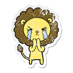distressed sticker of a cartoon crying lion praying