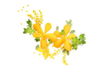 floral background of yellow flowers