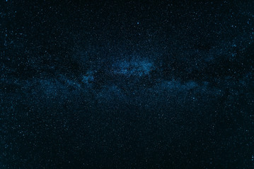 Starry forest background up in the mountains