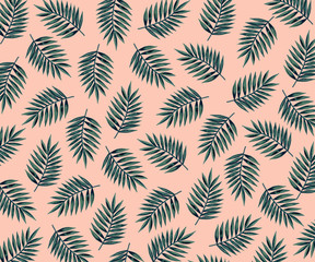 Simple Background with Palm Tree Leaves on Pink 