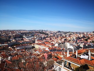 Fototapeta premium Lissabon Portugal