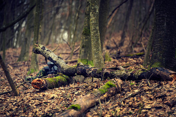 Fototapete bei efototapeten.de bestellen   