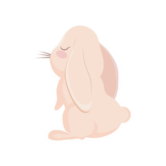 cute rabbit animal character