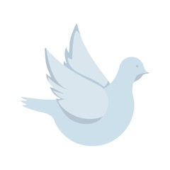cute dove animal isolated icon