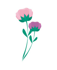 Obraz premium beautiful flowers nature icon