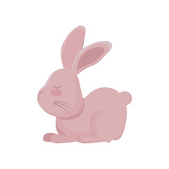 cute rabbit animal character