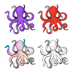 Octopus print in different hand drawn style. Vector illustration of sketch octopus.