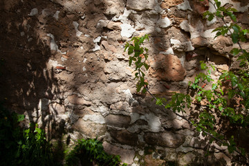 detail of the wall of a house