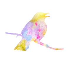 bird at tree branch
