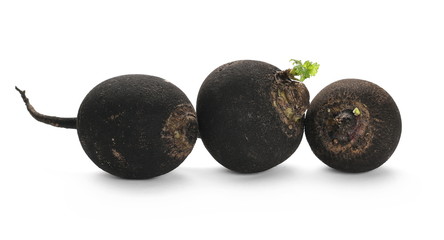Black radishes isolated on white background