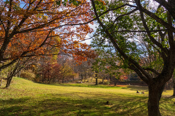 Naklejka premium 「原村」日本で最も美しい村