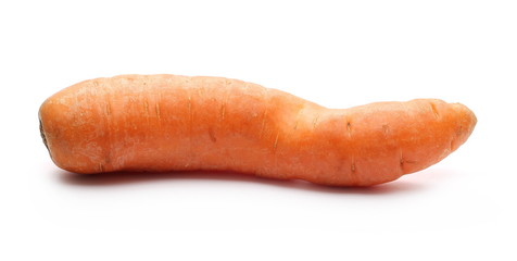 Carrot isolated on white background