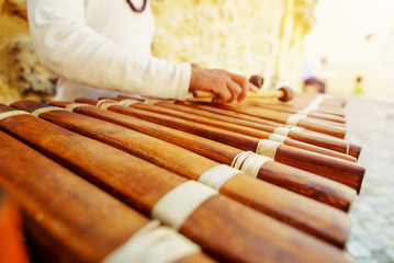 Wooden xylophone asia music instrument