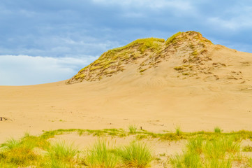 Dunes of Leba in the desert of Slowinski National Park, Poland