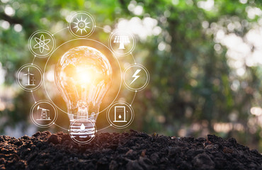 Light bulbs with glowing one. technology and creativity concept with light bulbs.