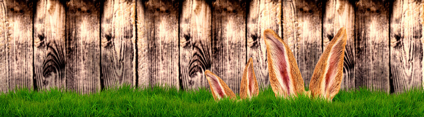 easter card rabbit card