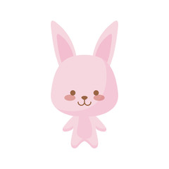 cute rabbit animal character