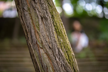 portrait of young skater girl in berlin
