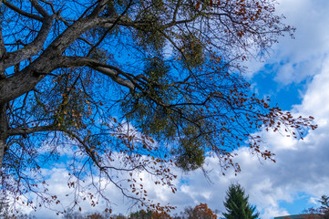 「原村」日本で最も美しい村