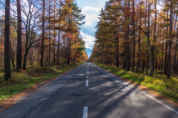 Fototapeta premium 「原村」日本で最も美しい村