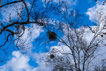 「原村」日本で最も美しい村