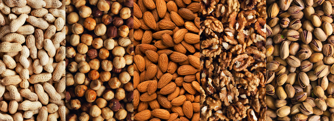 Collage of different nuts. View from above. Background and texture. 